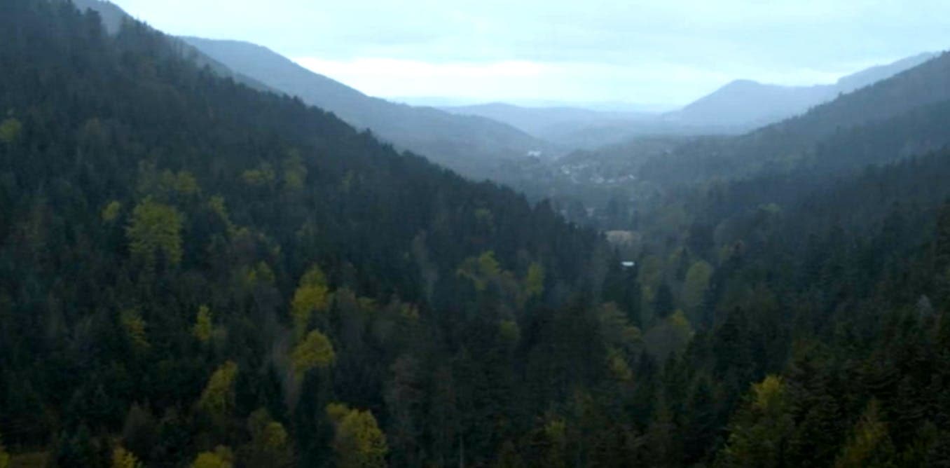 Cinéma français : les forêts du Grand-Est révèlent l'âme