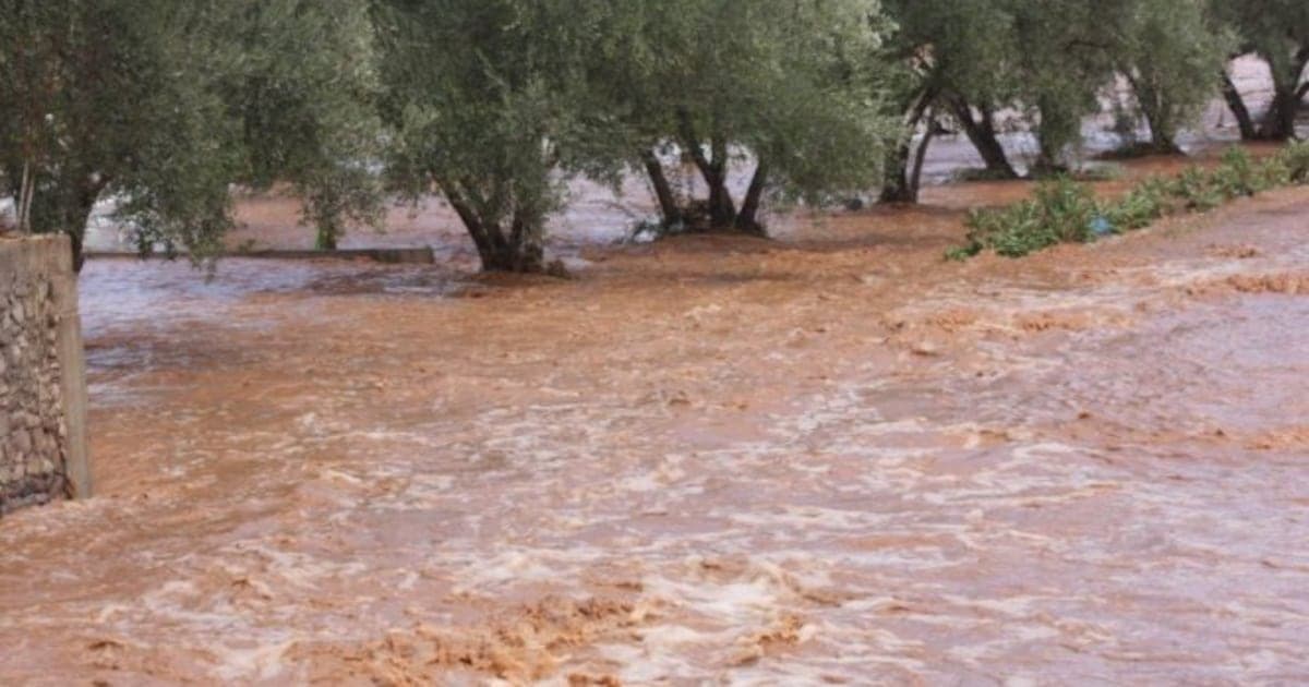 Maroc: les pluies bénéfiques cachent une crise agricole