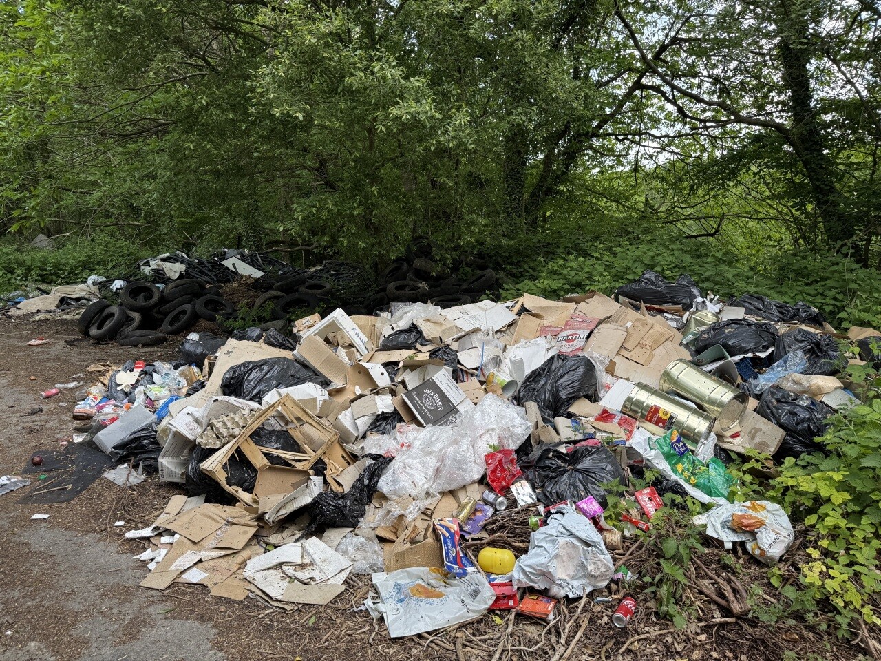 Dépôts sauvages : quand l'incivisme coûte 50 000€ aux citoyens