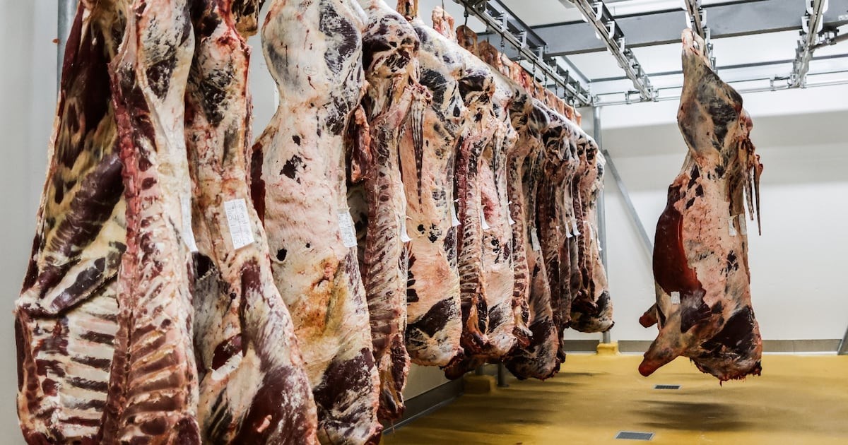 Viande rouge : les dessous d’un marché sous tension au Sénégal